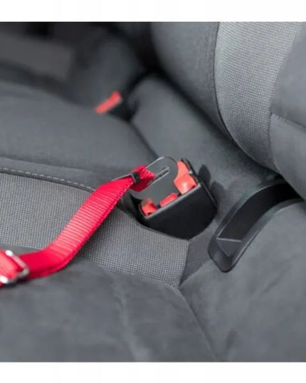 TRIXIE automobilių saugos diržai ir petnešos katėms