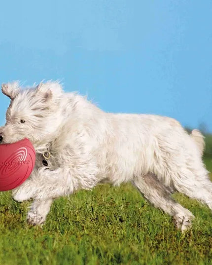TRIXIE frisbee diskas šunims iš kaučiuko, skraidantis, plaukiantis, 22 cm