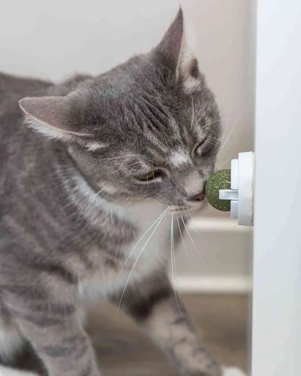 Trixie katžolių kamuoliukas su laikikliu klijavimui, 5 cm