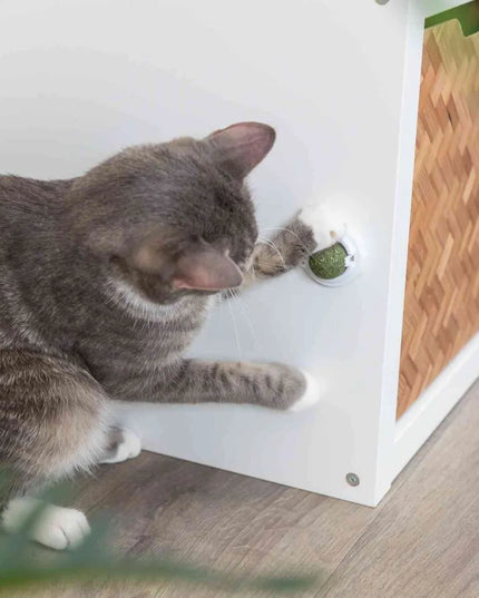 Trixie katžolių kamuoliukas su laikikliu klijavimui, 5 cm