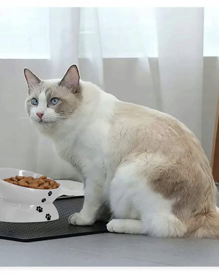 TRIXIE keramikinis dubenėlis šunims ir katėms, 0,25 l, pakeltas, stabilus