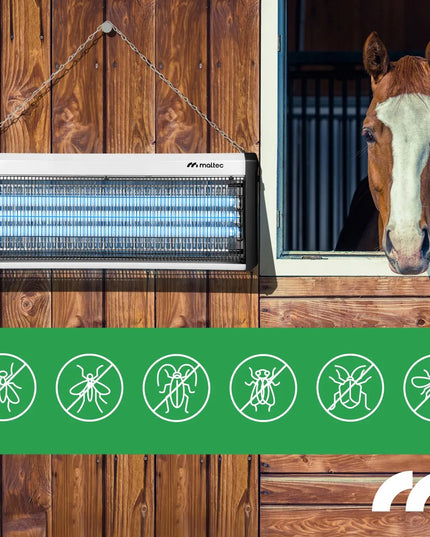UV vabzdžių gaudyklė MalTec 60W 3800V – galinga lempa nuo uodų ir musių