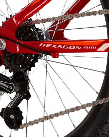 Vaikiškas dviratis Kross Hexagon Mini 1.0 20 colių ratai Shimano