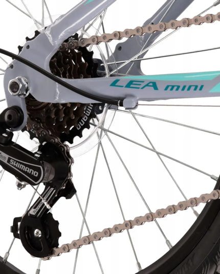 Vaikiškas dviratis KROSS Lea Mini 1.0, 20 colių ratai + nemokama kojelė