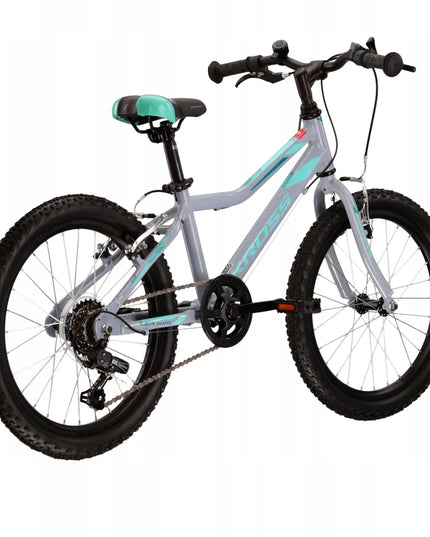 Vaikiškas dviratis KROSS Lea Mini 1.0, 20 colių ratai + nemokama kojelė