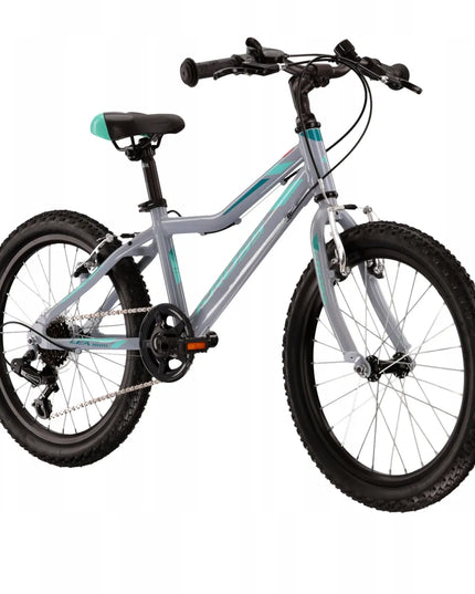Vaikiškas dviratis KROSS Lea Mini 1.0, 20 colių ratai + nemokama kojelė