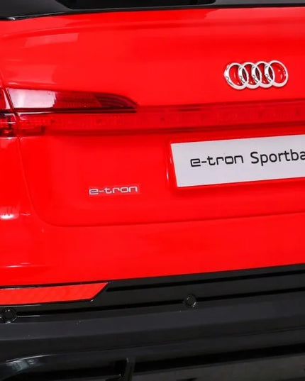 Vaikiškas elektromobilis Audi e-tron 4X4, odinė sėdynė, EVA ratai, pultelis