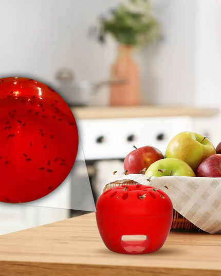 Vaisinių muselių gaudyklė Fruit Fly Trap No Pest + masalas 15 ml (3 vnt.)