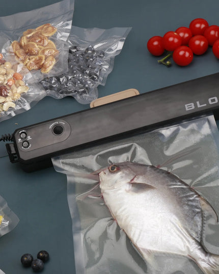 Vakuuminis maisto produktų pakavimo aparatas BLOW VS-02 + 10 maišelių