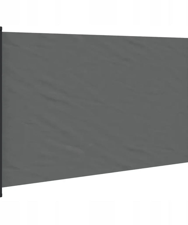 vidaXL šoninė išskleidžiama markizė, antracito spalvos, 117x300 cm