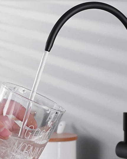 Virtuvinis maišytuvas Rea Eco Fresh su ištraukiama snapeliu, juodas
