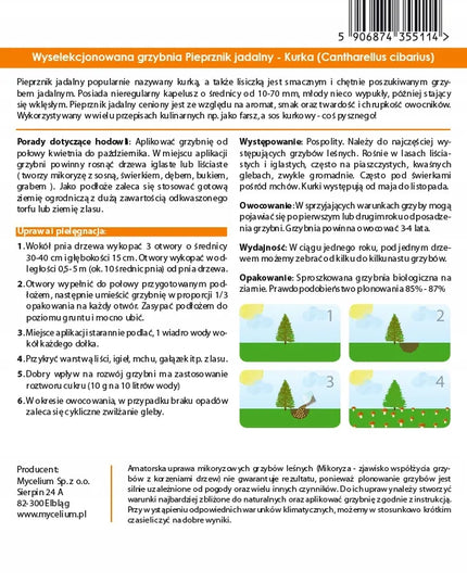 Voveraitės, valgomosios voveraitės grybiena laukiniams grybams