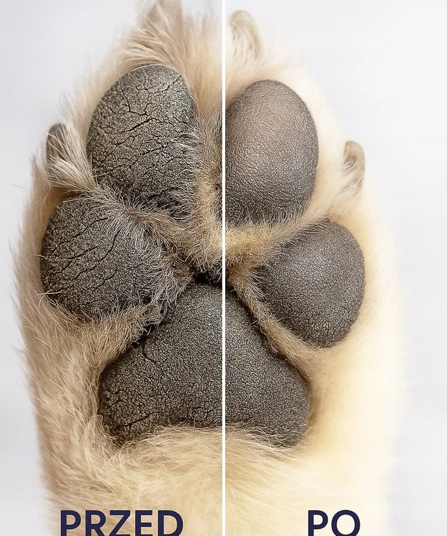 Woofmetics Paw Butter – Bekvapis balzamas šunų letenėlių priežiūrai 200 ml