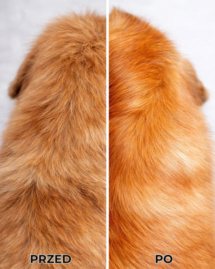 WOOFMETICS SIERŚCIUCH šunų kailio aliejus, suteikiantis blizgesio ir priežiūra