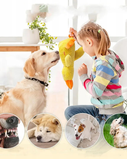 Žaislas šuniui DIDELĖ ANTIS girgždantis pliušinis žaislas 25cm