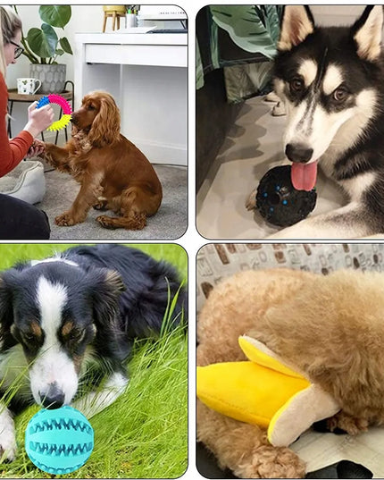 Žaislų rinkinys šunims Mažiems ir dideliems šunims Virvės kramtukai diskas 10 vnt.