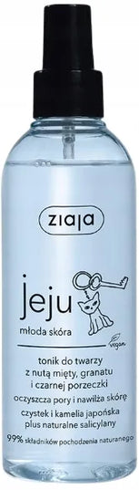 Ziaja Jeju rinkinys jaunai odai drėkinti, 5 produktai
