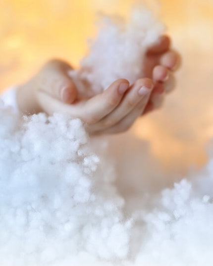 Pagalvių užpildas 2,5Kg